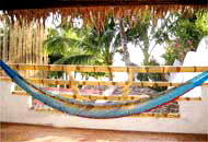 Bamboo Bungalows