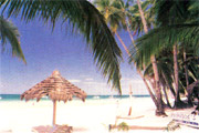 Cocomangas Hotel Beach Resort