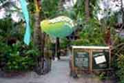 Mango Ray Resort