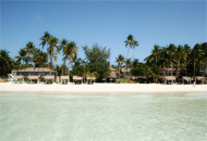 Pearl of the Pacific