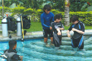 Seraph Hotel Boracay Island Diving
