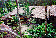 The Orchids Resort